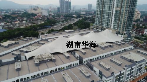 �̘I�쾮���